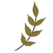 Decorative leaf design on a black background
